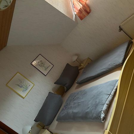 Birke 9, 10 Oder 11 Appartement Todtmoos Buitenkant foto