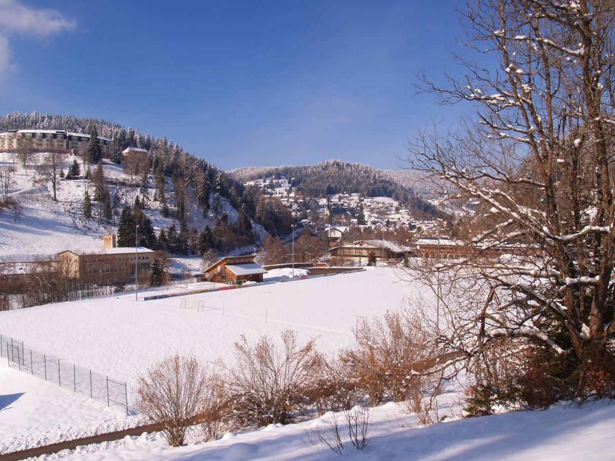 Birke 9, 10 Oder 11 Appartement Todtmoos Buitenkant foto