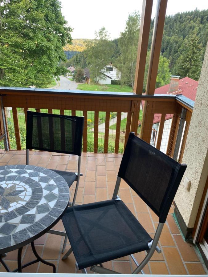 Birke 9, 10 Oder 11 Appartement Todtmoos Buitenkant foto