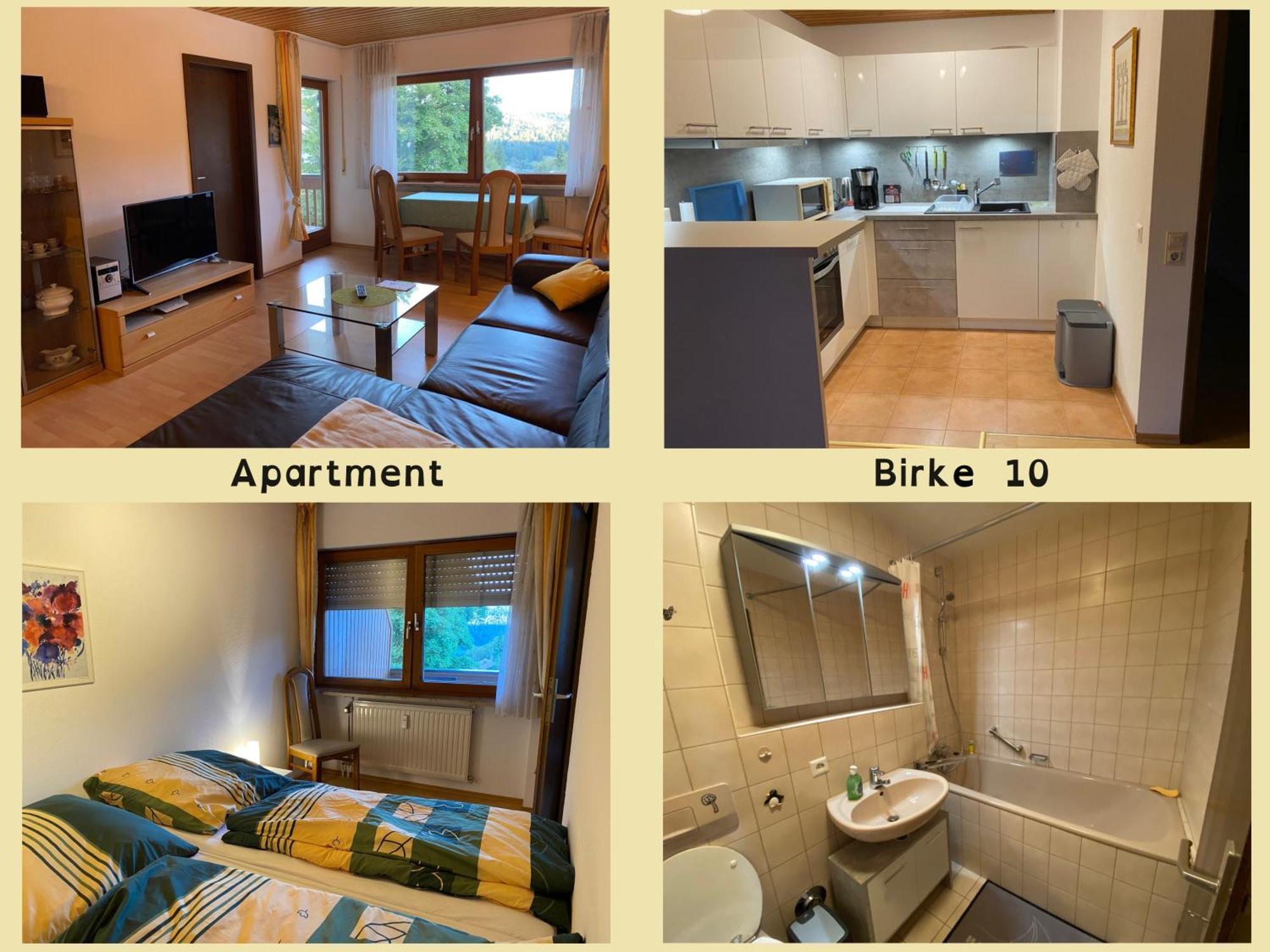 Birke 9, 10 Oder 11 Appartement Todtmoos Buitenkant foto